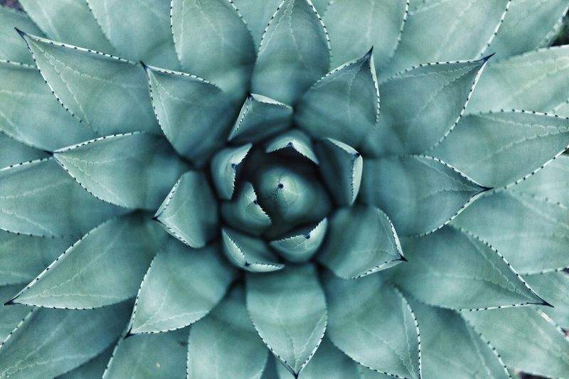 Lyxtaxxelxumnat 8